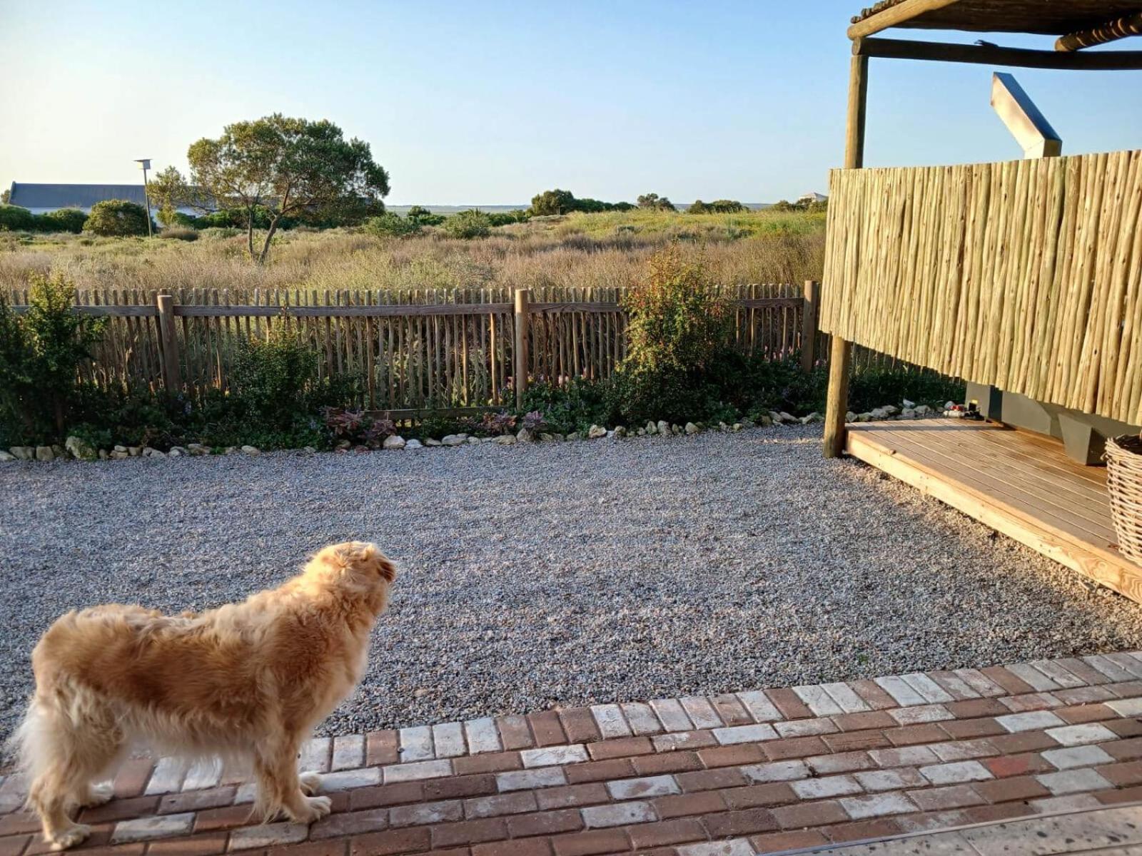 Camelot Cottages Langebaan Kültér fotó