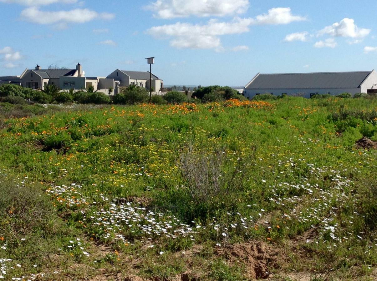 Camelot Cottages Langebaan Kültér fotó