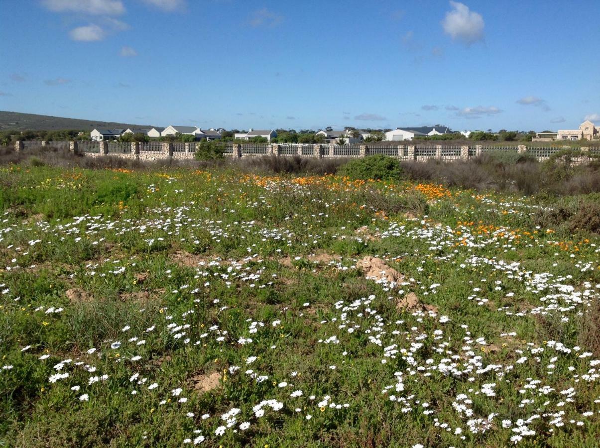 Camelot Cottages Langebaan Kültér fotó